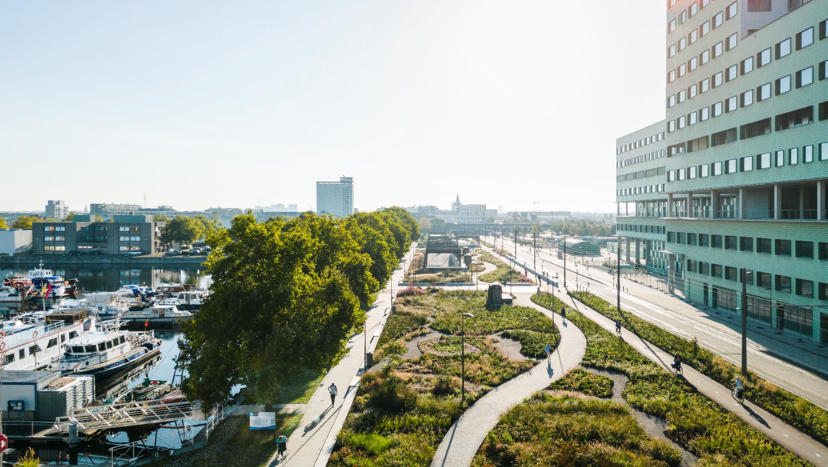 © A green edge along the docks, Antwerp. © OMGEVING
