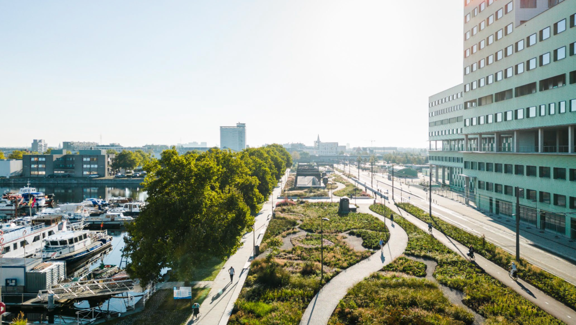  © A green edge along the docks, Antwerp. © OMGEVING	