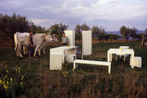 Superstudio, Misura series, 1969–1972, Visita primaverile nello showroom (with Angiolino and Gino Lepri), 1970. 